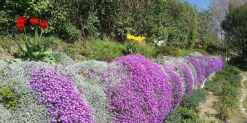 Steigerung der Biodiversität – jeder kann/muss einen Beitrag leisten!.jpg Steigerung der Biodiversität – jeder kann/muss einen Beitrag leisten!.jpg