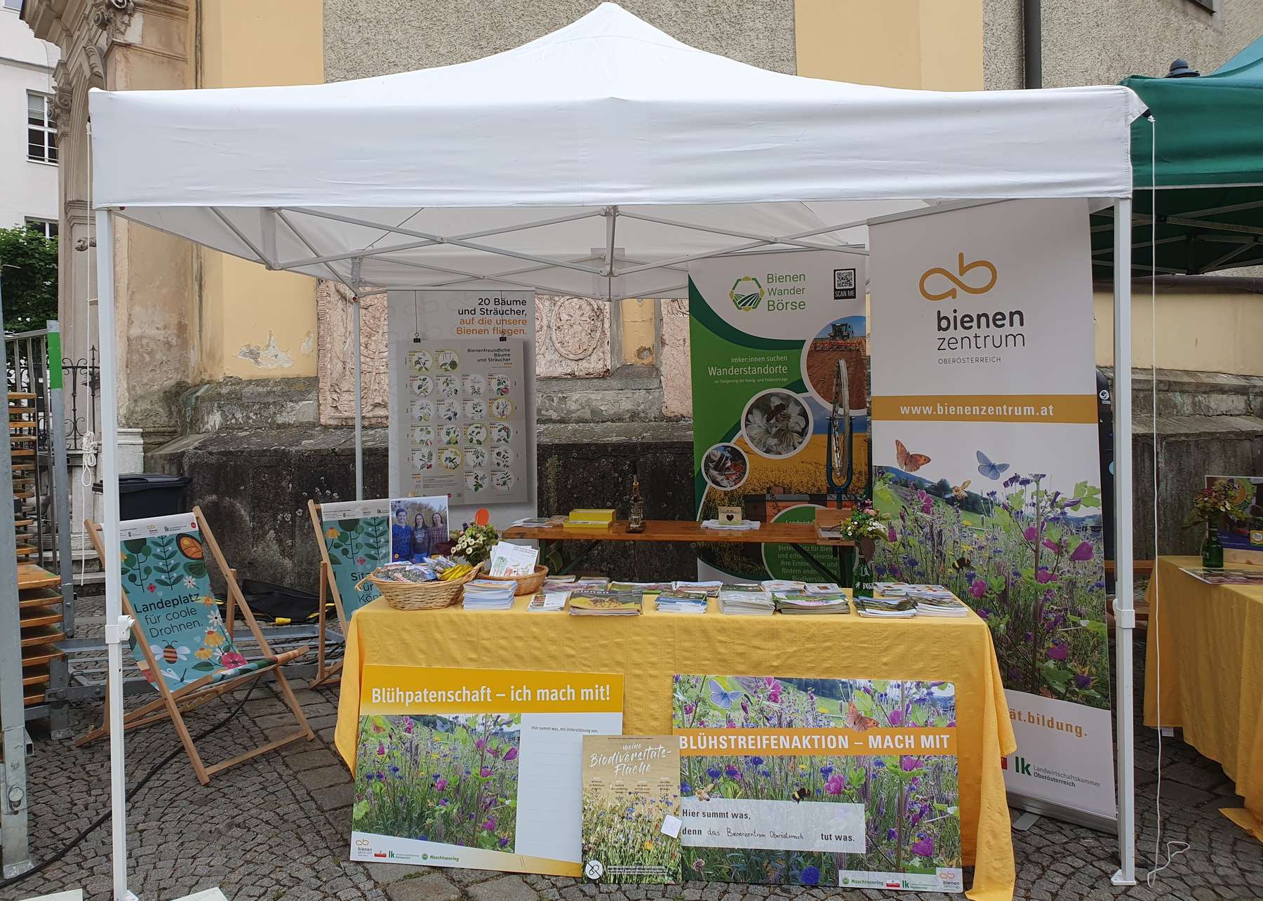 Stand des Bienenzentrum OÖ bei der Bio-Summertime.jpg