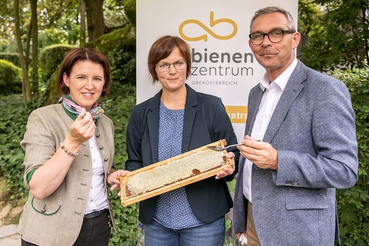 Agrar-Landesrätin Michaela Langer-Weninger, Leiterin Bienenzentrum OÖ Elisabeth Lanzer, LK OÖ-Präsident Franz Waldenberger.jpg