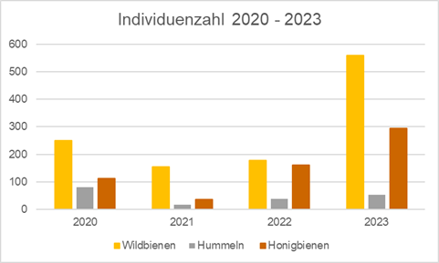 Wildbienenmonitoring 2020-2023 Ergebnisse im Überblick Copyright Schwarz Martin.png