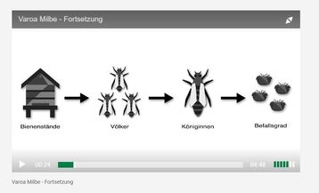Varroamilbe - Erklärvideo zur Prognose und Anmeldung.jpg Varroamilbe - Erklärvideo zur Prognose und Anmeldung.jpg
