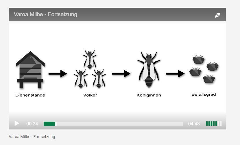 Varroamilbe - Erklärvideo zur Prognose und Anmeldung.jpg Varroamilbe - Erklärvideo zur Prognose und Anmeldung.jpg