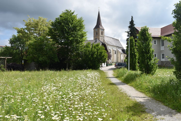 DIV RS Fläche .jpg DIV RS Fläche .jpg