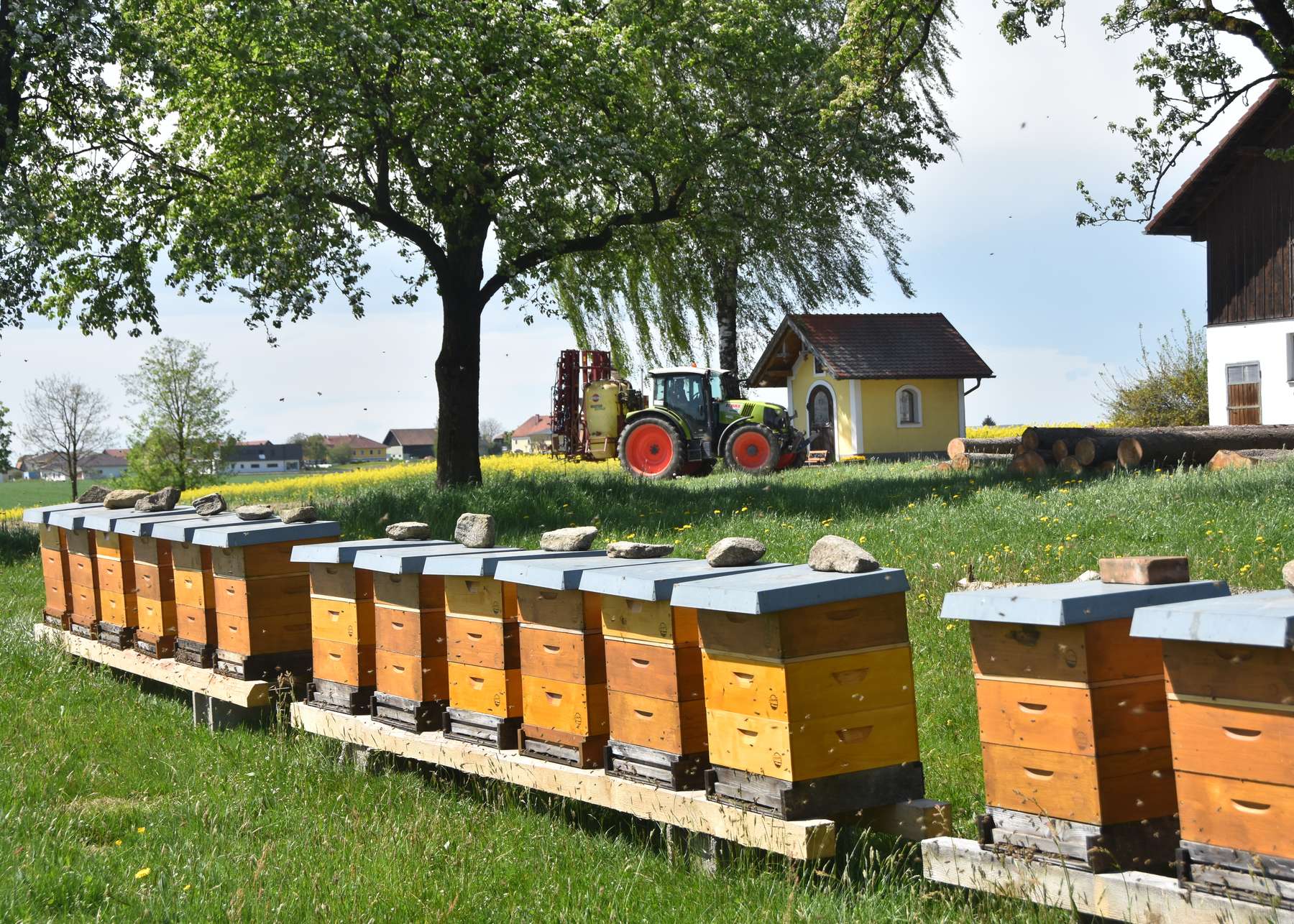 Imker und Landwirte an einem Tisch-Veranstaltung wieder verfügbar.jpg Imker und Landwirte an einem Tisch-Veranstaltung wieder verfügbar.jpg