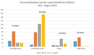 Gesamtindividuen auf den unterschiedlichen Flächen von Mai bis August 2024 mit der Gesamtartenzahl Gesamtindividuen auf den unterschiedlichen Flächen von Mai bis August 2024 mit der Gesamtartenzahl