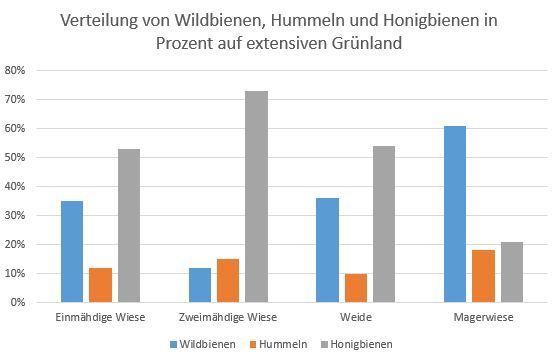 Prozentuelle Verteilung von Honigbienen, Wildbienen und Hummeln auf den untersuchten Flächen von Mai bis August 2024 Prozentuelle Verteilung von Honigbienen, Wildbienen und Hummeln auf den untersuchten Flächen von Mai bis August 2024