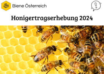 Honigertragserhebung 2024.png