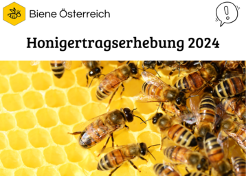 Honigertragserhebung 2024.png Honigertragserhebung 2024.png