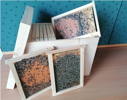 Einraumbeute.png Einraumbeute.png