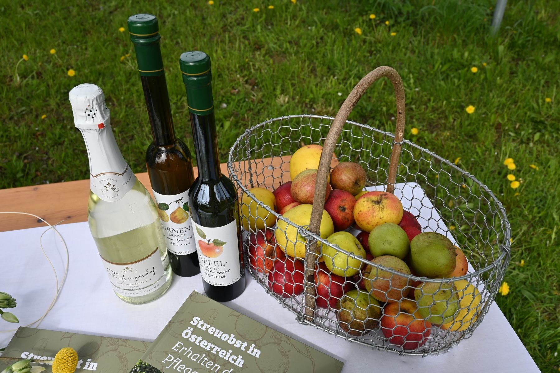 Unter dem diesjährigen Motto „Streuobstpicknick“ lädt der Tag dazu ein, Streuobstwiesen als Orte der Begegnung, Entspannung und des Genusses zu erleben. Unter dem diesjährigen Motto „Streuobstpicknick“ lädt der Tag dazu ein, Streuobstwiesen als Orte der Begegnung, Entspannung und des Genusses zu erleben.