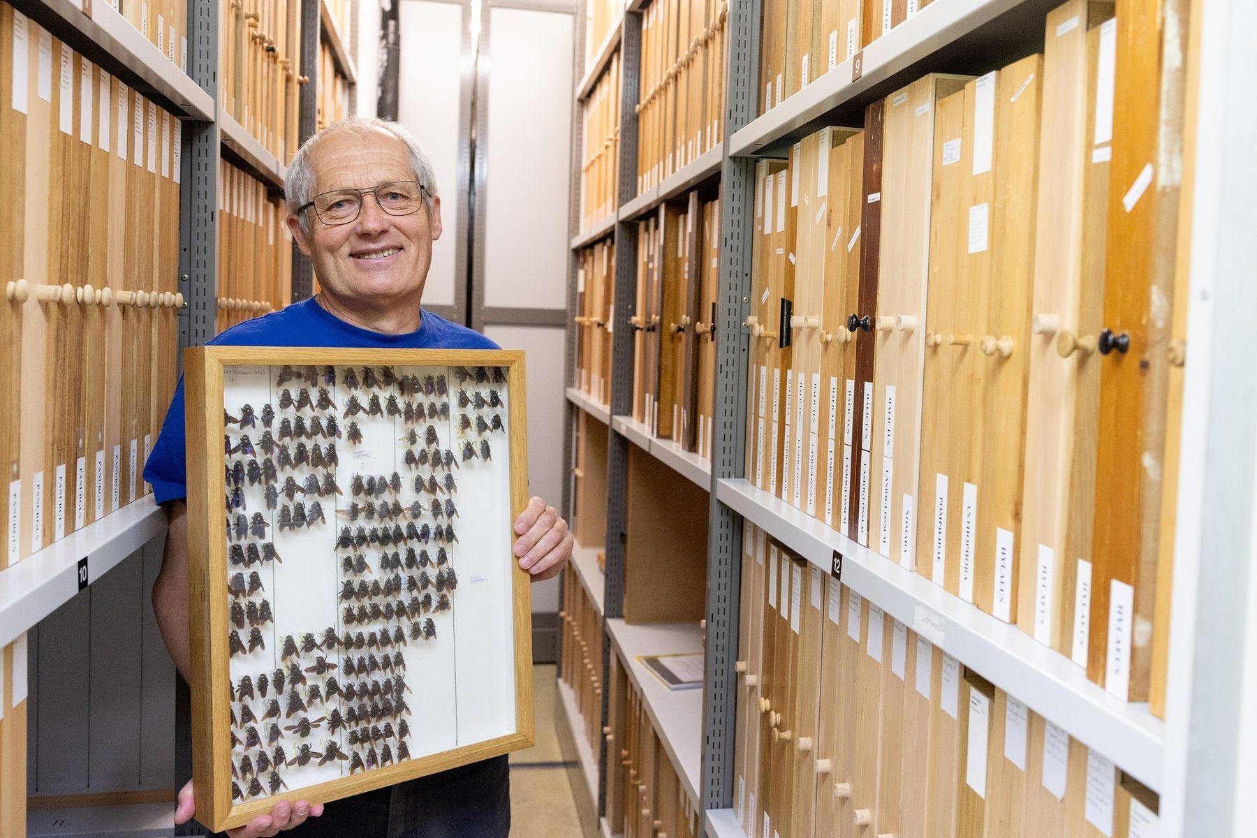 Artenschutz beginnt mit dem Wissen, was es überhaupt zu schützen gilt. Und dieses Wissen entsteht auch hier – in der Sammlung, im Labor, auf der Wiese vor unserer Tür, so Dr. Martin Schwarz..jpg Artenschutz beginnt mit dem Wissen, was es überhaupt zu schützen gilt. Und dieses Wissen entsteht auch hier – in der Sammlung, im Labor, auf der Wiese vor unserer Tür, so Dr. Martin Schwarz..jpg