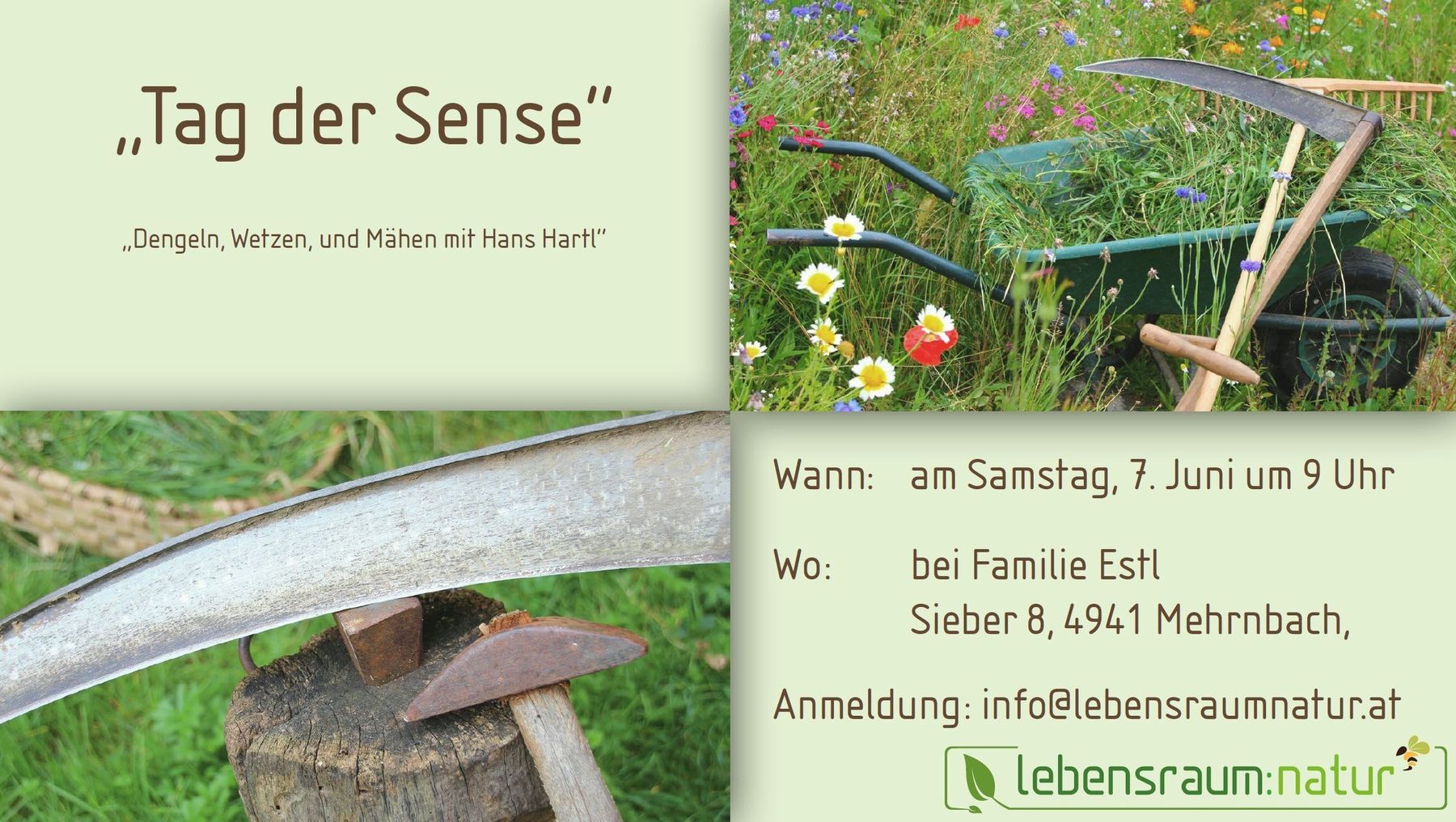 Tag der Sense.jpg