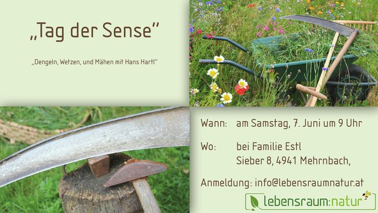 Tag der Sense.jpg