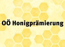 Einladung zur Honigprämierung 2025 auf der LK OÖ am 11. Oktober 2025.jpg