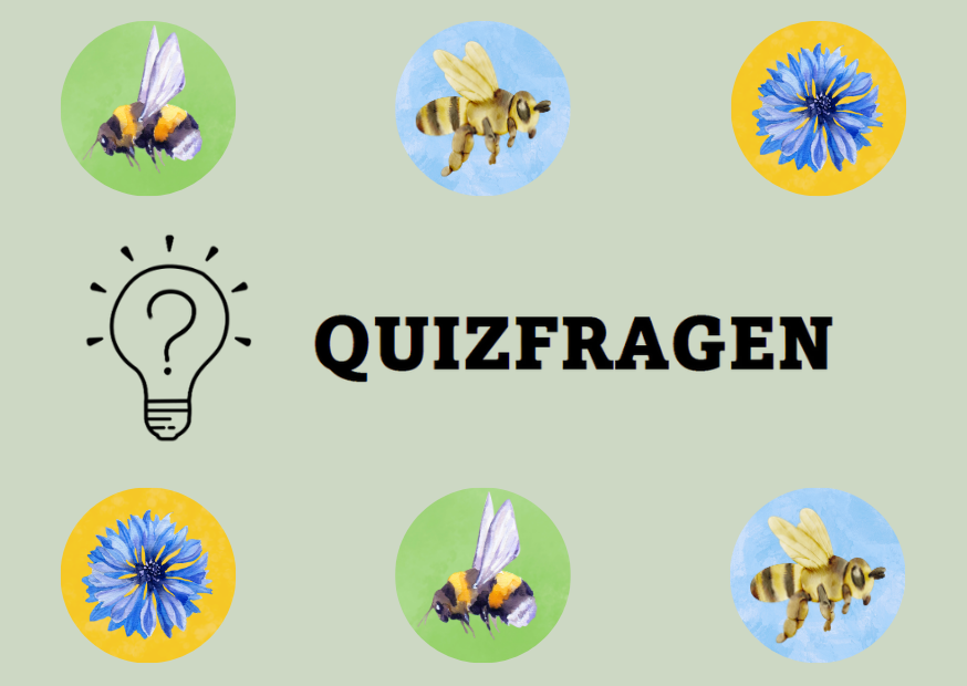 Quizfragen rund um Honigbienen, Wildbienen und Biodiversität.png Quizfragen rund um Honigbienen, Wildbienen und Biodiversität.png