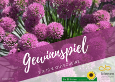 Gewinnspiel Bienenpflanze des Jahres 2025 (1).png