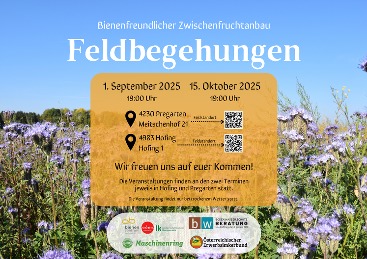 Einladung zu Feldbegehungen am 1. September und 15. Oktober 2025 © Bienenzentrum OÖ