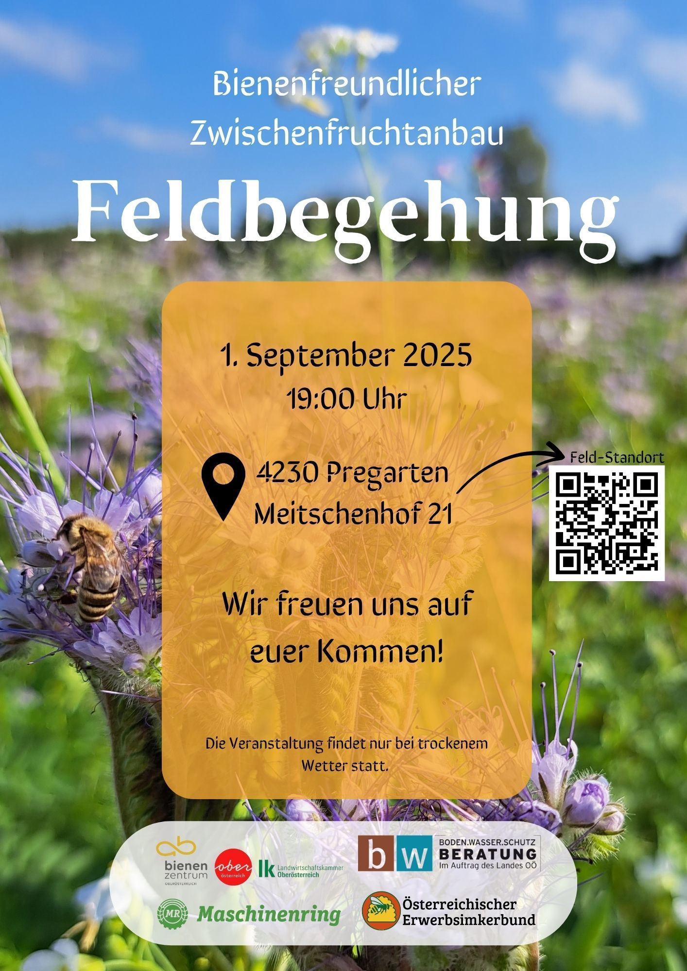 Feldbegehung Pregarten.jpg