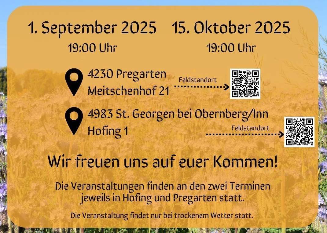 Feldbegehung - Bienenfreundlicher Zwischenfruchtanbau 2025.jpg