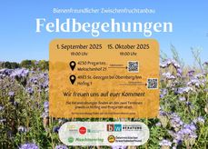 Feldbegehung - Bienenfreundlicher Zwischenfruchtanbau 2025.jpg
