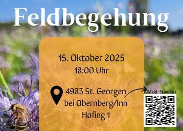 Feldbegehung in St. Georgen bei Obernberg/Inn am 15.10.2025.jpg