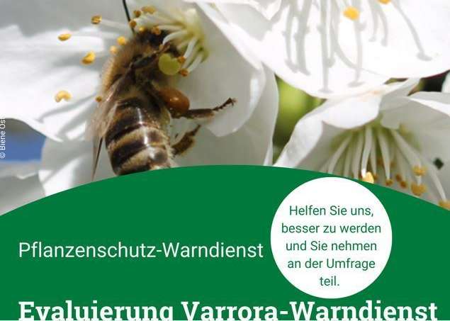 Evaluierung Varroa-Warndienst.jpg