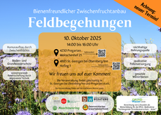 Einladung zur Feldbegehung "Bienenfreundlicher Zwischenfruchtversuch" am 10.10.2025.png