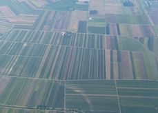 Auswirkungen verschiedener Streifenanbausysteme auf Bienen und weiteren Bestäuberinsekten.jpg