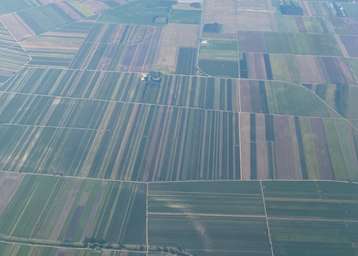 Auswirkungen verschiedener Streifenanbausysteme auf Bienen und weiteren Bestäuberinsekten.jpg