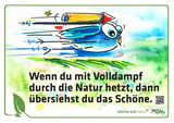 "Volldampf durch die Natur".jpg
