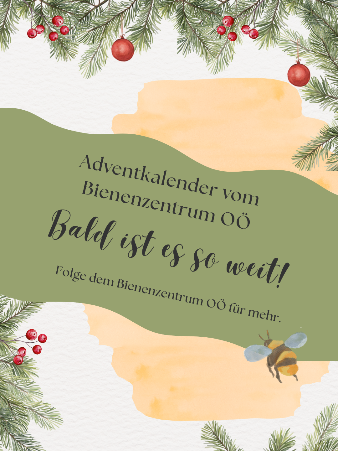 Wir wünschen allen Teilnehmenden eine besinnliche Adventzeit und viel Glück beim Mitmachen..png