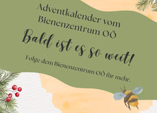 Wir wünschen allen Teilnehmenden eine besinnliche Adventzeit und viel Glück beim Mitmachen..png