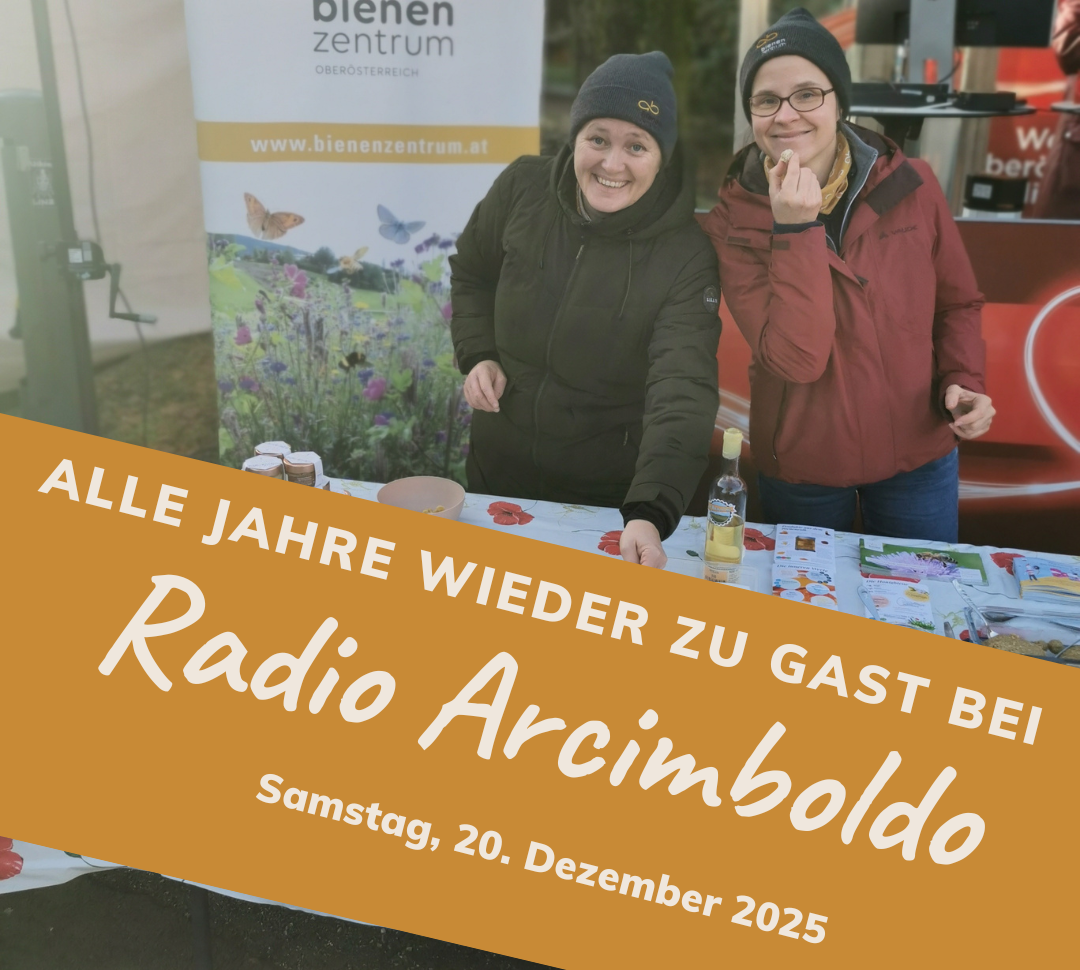 Auch heuer ist das Bienenzentrum OÖ wieder zu Gast bei Radio Arcimboldo. .png