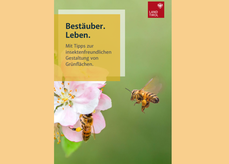 Broschüre "Bestäuber.Leben.".png