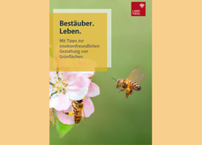 Broschüre "Bestäuber.Leben.".png