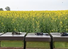 Imker und Landwirte an einen Tisch - das Erfolgsformat jetzt als Webinar.jpg