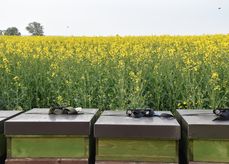 Imker und Landwirte an einen Tisch - das Erfolgsformat jetzt als Webinar.jpg