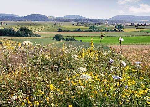 Die Landschaft wird maßgeblich von der Landwirtschaft geprägt..jpg