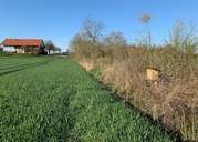 Eine strukturreiche Landschaft schafft Lebensraum und Nahrungsgrundlage für Insekten und Pflanzen..jpg