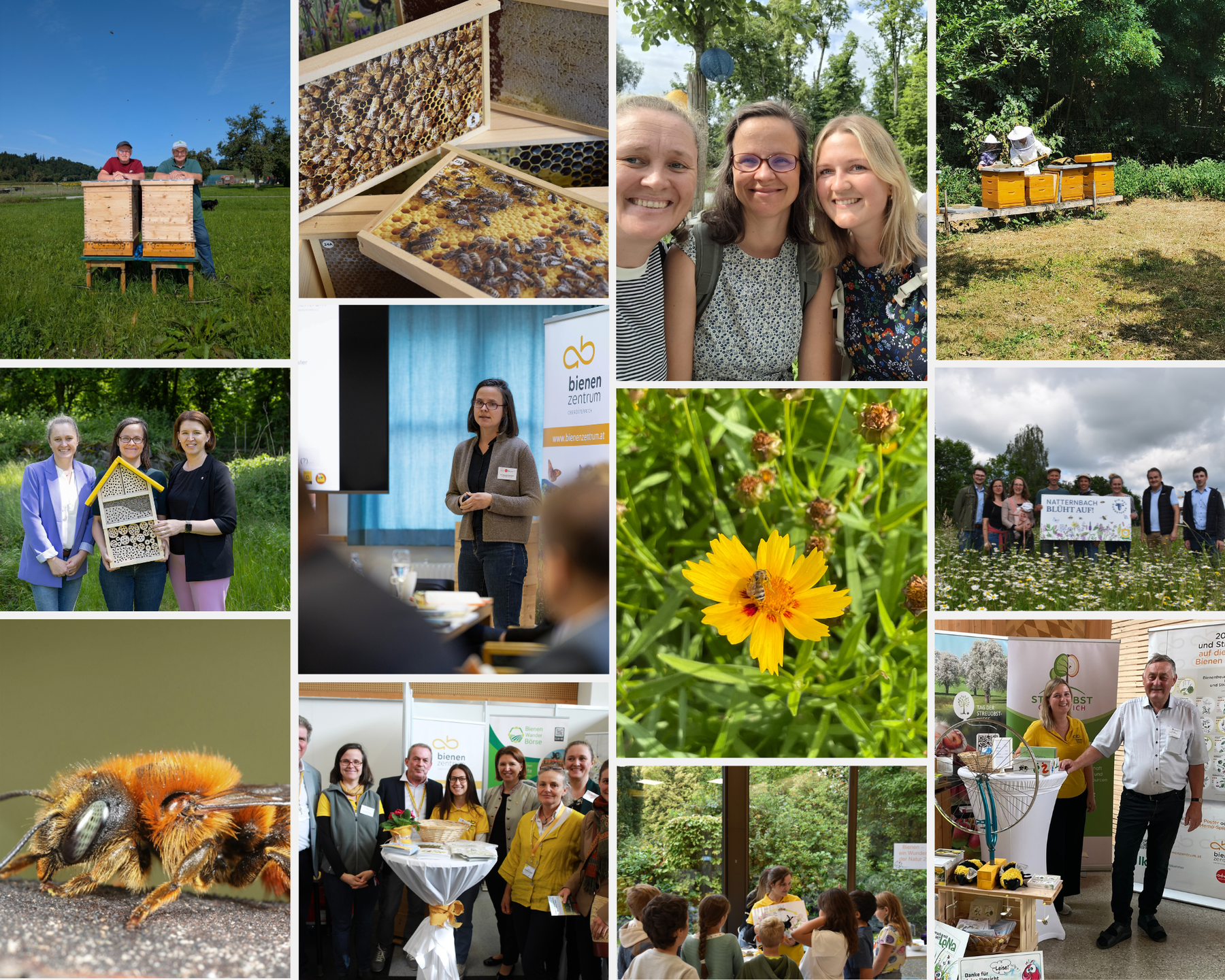 Fotocollage für Arbeitsberichte © Canva/Schobersberger