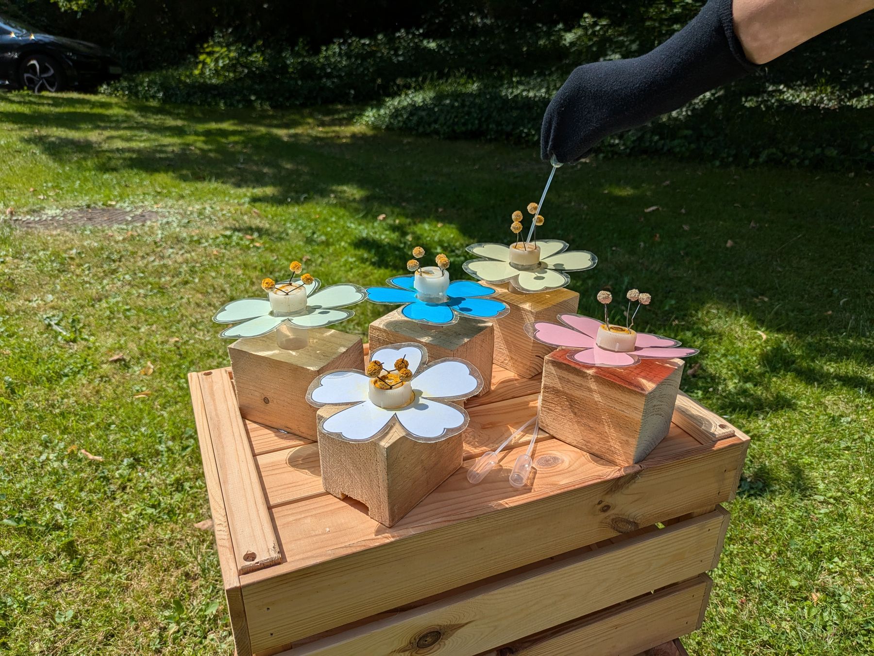 Modell der Bestäuberblumen. © Bienenzentrum OÖ