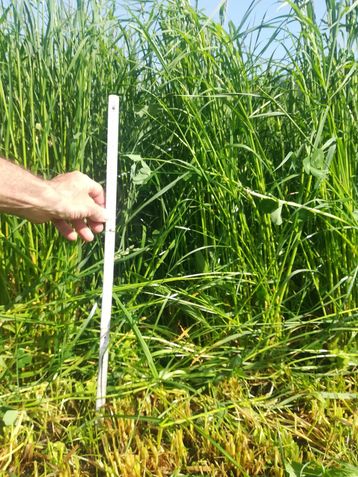 Der Beitrag von Martin Schönhart zeigt, welche unverzichtbaren Leistungen Agrar- und Forstökosysteme für unsere Gesellschaft erbringen..jpg