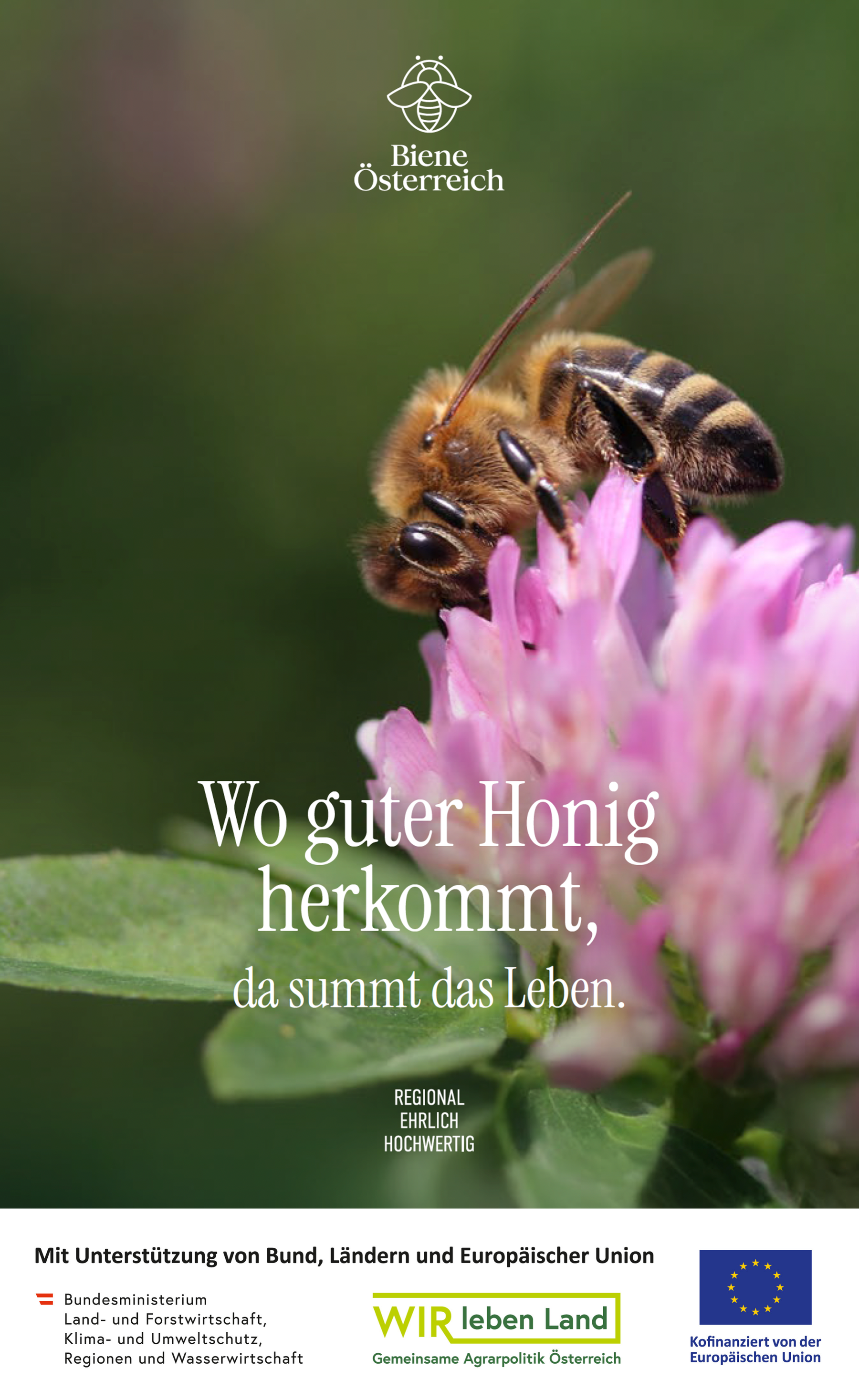 Kampagne für echten Honig - Wo guter Honig herkommt..png