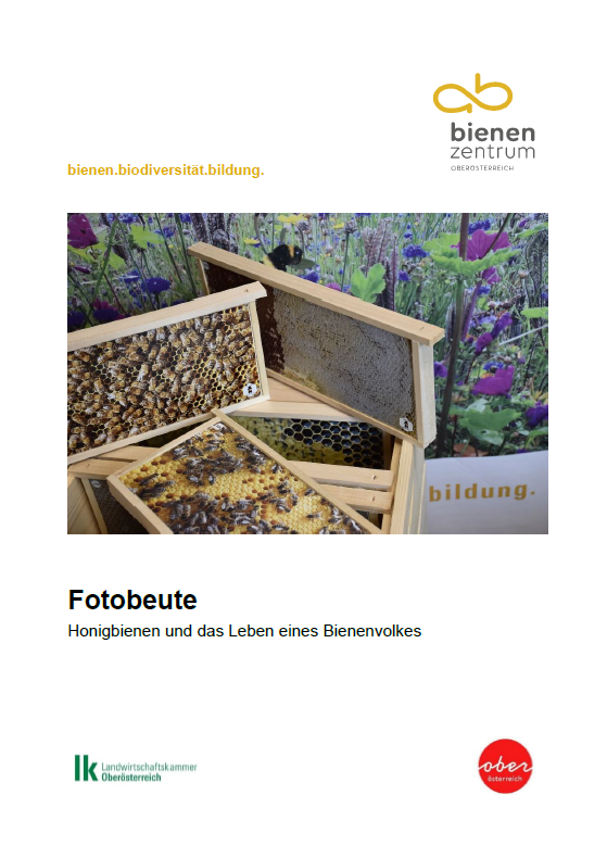 Mit dem Lernsetting zur Fotobeute bekommt man ein besseres Verständnis für das Zuhause der Honigbiene..png