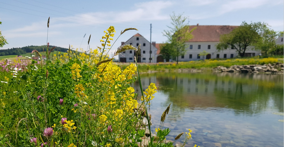 Ausblick auf das Biogut Dornetshub. © Schauer