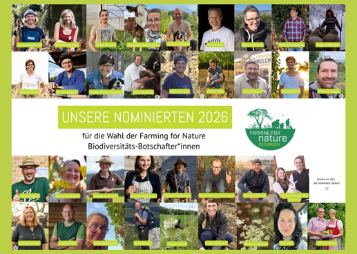 Alle Nominierten 2026 im Überblick.png