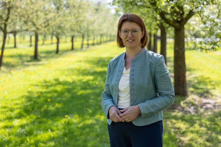 Streuobstwiesen - aus dem Landschaftsbild und auch für die Artenvielfalt nicht wegzudenken..jpg