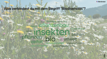 Die Begriffs-Wolke zeigt: die Jugendlichen haben bereits eine Idee zum Begriff "Biodiversität"..png