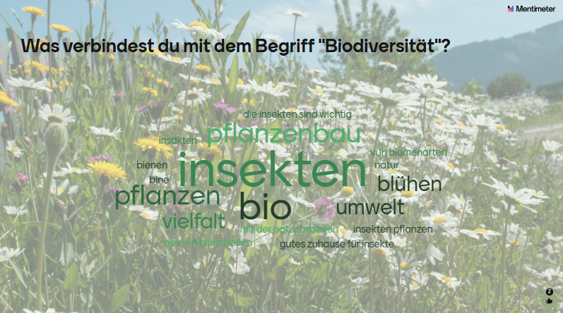 Die Begriffs-Wolke zeigt: die Jugendlichen haben bereits eine Idee zum Begriff "Biodiversität"..png