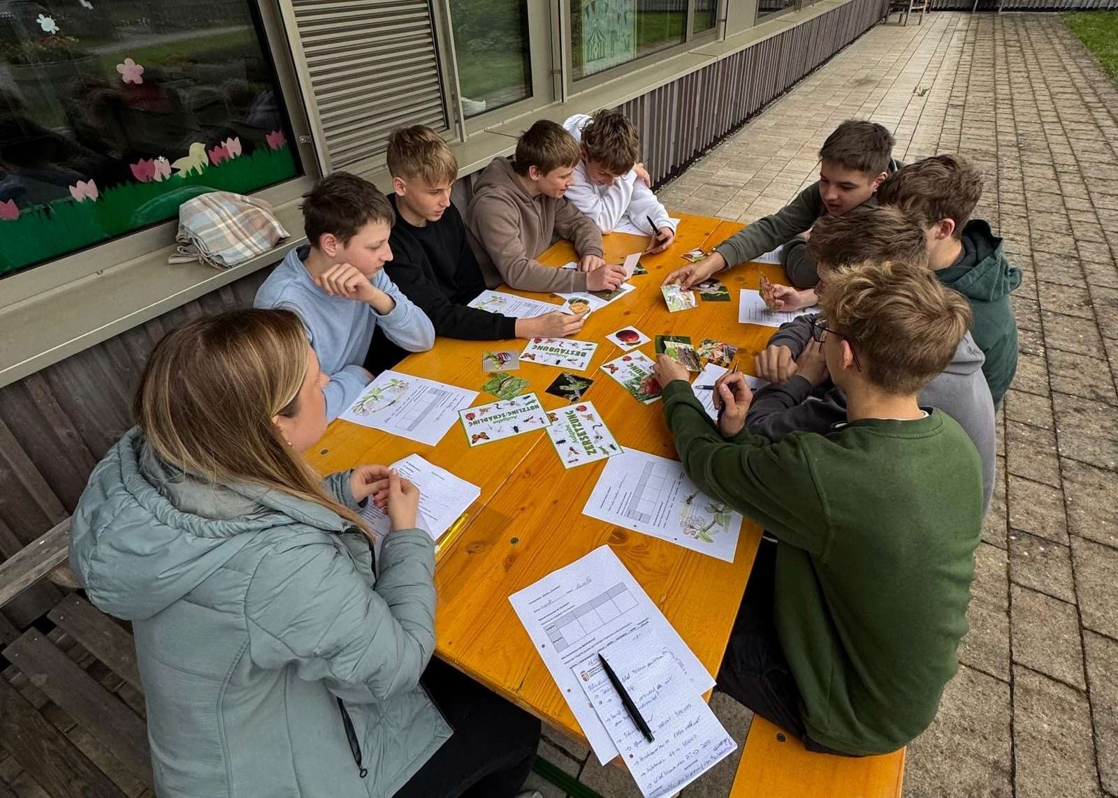 Insekten erfüllen viele Aufgaben: sie sorgen für Bestäubung und Zersetzung, können Nützlinge bzw. Schädlinge sein und sind Grundlage eines sensiblen Nahrungsnetzes..jpg